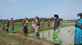 Farmers started their Agricultural works by maintaining social distance amid Covid-19 in Southern India