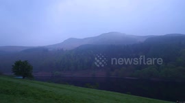 Woodland comes alive to the sound of the Dawn Chorus in The Peak District National Park
