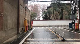 Chinese new year due corona virus outbreak