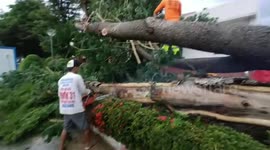 Terrifying moment tropical storm batters hospital in northern Thailand