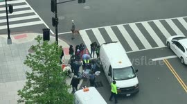 Heartwarming rescue of nine ducklings in Washington DC