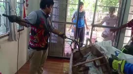 Thai woman terrified after king cobra found in her sofa