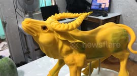 Vietnamese sculptor creates a buffalo from pumpkins like a pro