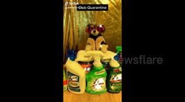 'Club quarantine with DJ Tink' Dog in New York does a remix using disinfecting bottles