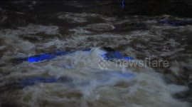 Stunning bioluminesce water in San Diego will leave you dazzled and satisfied
