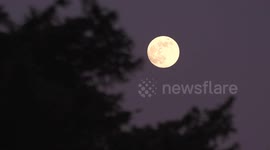 Last Supermoon of the year - Flower Moon