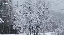Snowstorm hits Western Newfoundland | Polar Vortex