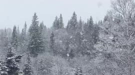 Freak spring snowstorm hits Eastern Canada ahead of polar vortex