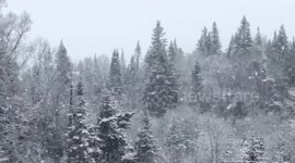 Newfoundland residents shocked as snow storm strikes in spring