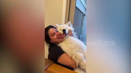 This cute video shows a dog and its owner sticking their tongues out at the camera