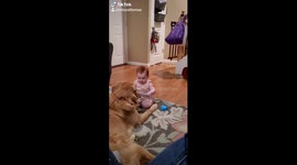 Best friends! Baby girl spoon feeds her dog while playing together