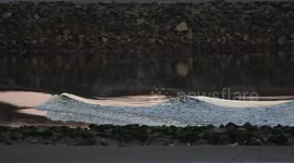 UK photographer captures rare tidal bore phenomenon funnelling along river