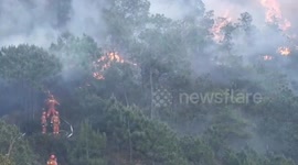 Huge forest fire rages in southern China