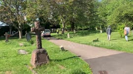 Police eviction sunbathers in Margravine Cemetery on bank holiday friday