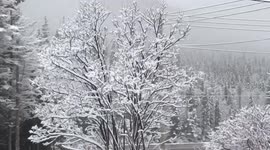 Record low temperatures in month of May & Polar Vortex