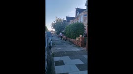 VE day lockdown Street jam dancing baby hilarious