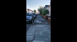 75th VE day street party musicians neighbours impromptu jam session funny dancing baby