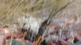 Cool spiked ice along the shores of Chequamegon Bay