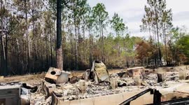 Burn damage  from 5 Mile Swamp Fire Florida