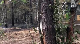 Bulldozers clearing fire breaks with firemen in burning woods