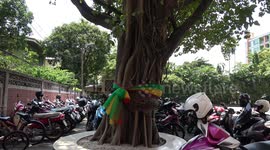 The reason why Buddhists put colourful ribbons around trees