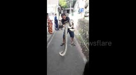 Man grapples with 5m-long python on streets of Indonesia