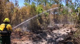 Firefighters battle hot spots in hot midday Florida sun