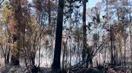 Drought conditions continue for Florida fires with no rain in forecast