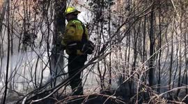 Firefighters battle 'human-caused' blaze under hot midday Florida sun