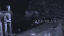 DEMON CAPTURED ON FILM IN CEMETERY ON MY LIVE STREAM