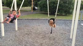 Cooper and his Cavoodle dog Lexie enjoying a swing together in the local park