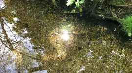 Short clip of stream, with sunlight reflecting onto water's surface.