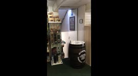 Alnwick Brewery