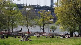 Social Distancing At New York City Park