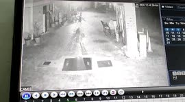 Sleeping man cheats death as leopard strays into fuel station in northern India