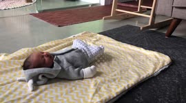 Curious Bengal cat investigates tiny human