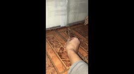Hamster attacking cable tie