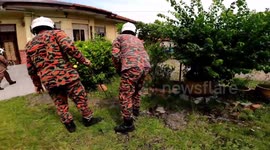 Wild boar gives Malaysian firemen the run-around before amazingly managing to escape