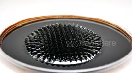 Ukrainian YouTuber creates bizarre spiked structures out of magnetic fluid