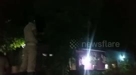 Firefighters rescue six-foot snake from tree in southern India