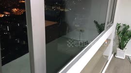 Grasshopper Jumps To 30th Floor Office Block Window