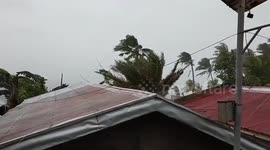 Strong wind and rain rattle homes as Typhoon Ambo hits the Philippines