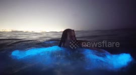 'I felt like I was in ‘Avatar’!' Incredible moment bioluminescent waves wow Venice Beach surfers