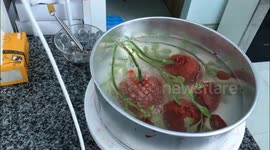 Vietnamese baker creates 3D roses in impressive gelatin cake