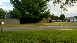 Even princesses have to take the trash out