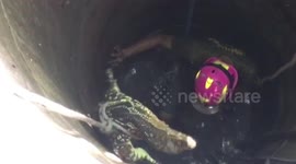 Thai volunteer abseils into 30ft deep well to rescue stranded monitor lizard