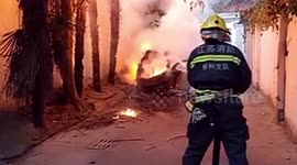 Electric car in China burns down after children set nearby tree on fire