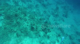 Scuba Diving Hotel Savoy Red Sea