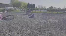 Jumping 4 year old