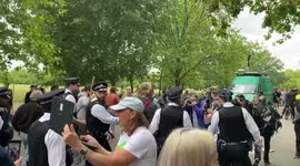 Protester arrested at anti-lockdown demo in London's Hyde Park